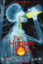The Human Body 